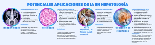 Imagen relacionada con el uso de IA en diagnóstico de enfermedades hepáticas 2024 en la investigación médica.