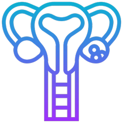 Icono de Intellcyst, modelo de IA en medicina aplicada para síndrome de ovarios poliquísticos