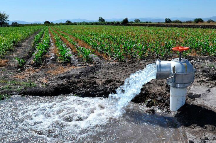 Escasez de Agua en la Agricultura