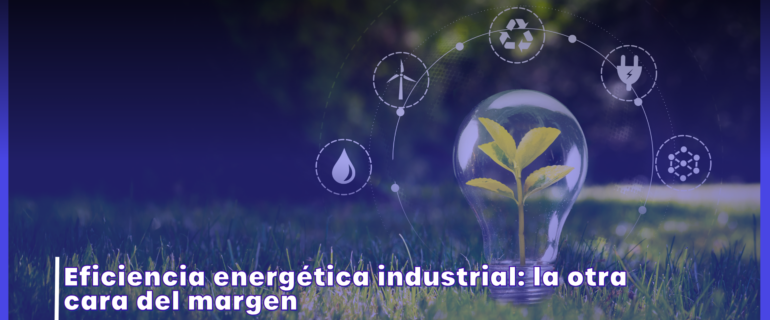 Eficiencia energética industrial: bombilla y planta sobre césped, símbolo de la unión entre energía sostenible y rentabilidad — DDS Core Industria