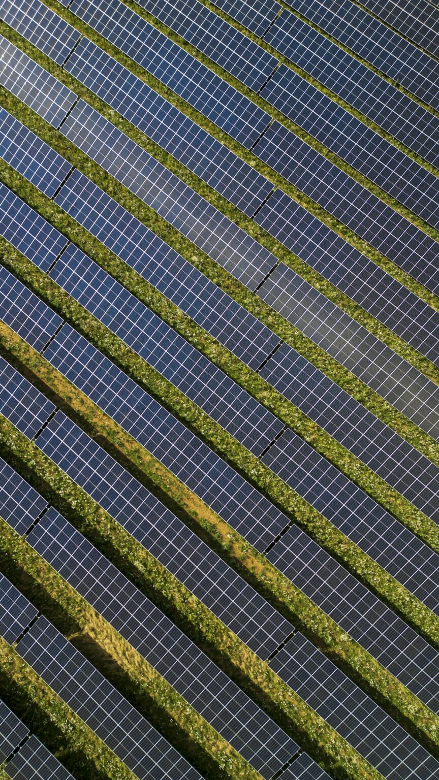 Filas de paneles solares vistas desde el aire